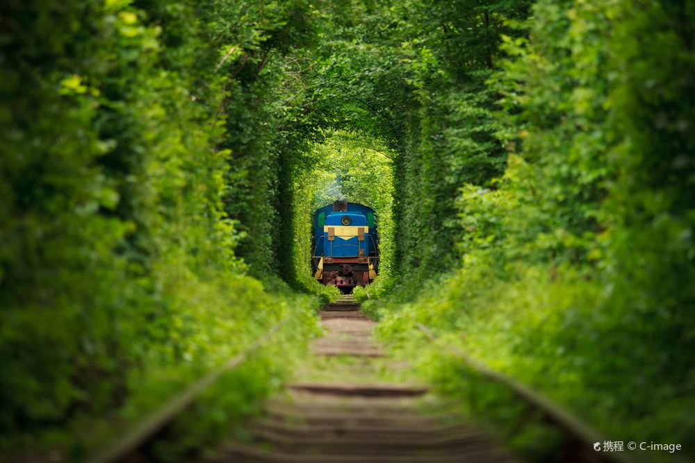 Tunnel of Love