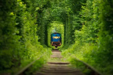Tunnel of Love