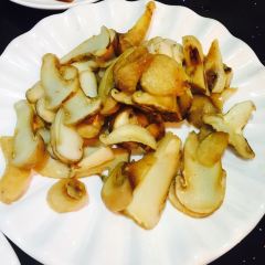 Snow mountain clouds wild mushrooms User Photo