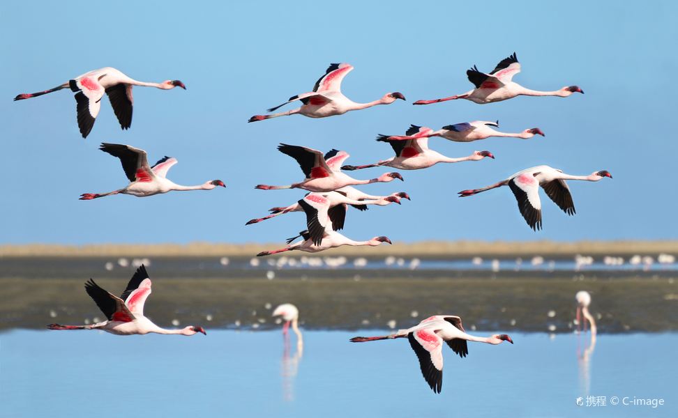 Kimberley to Walvis Bay Flights