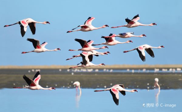 flyg Harare till Walvis Bay