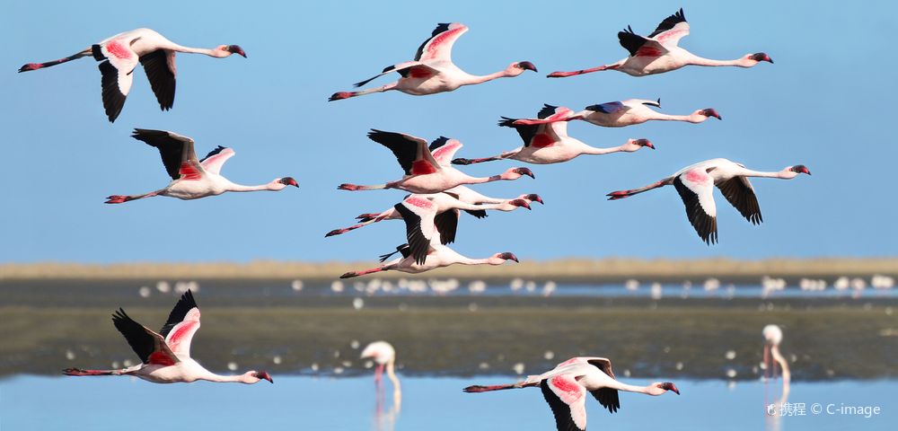 월브스베이데이 투어