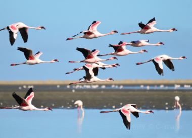 Walvis Bay