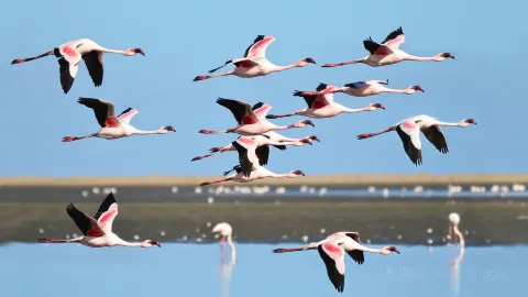 월브스베이 travel destination