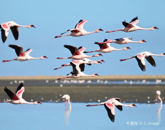 鯨灣港 自由行套票
