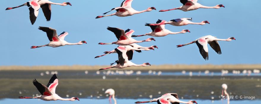 Walvis Bay