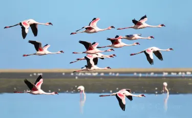 Walvis Bay