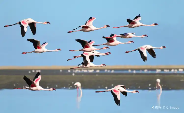 Walvis Bay
