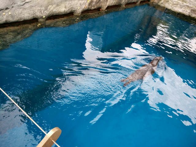Taronga Zoo
