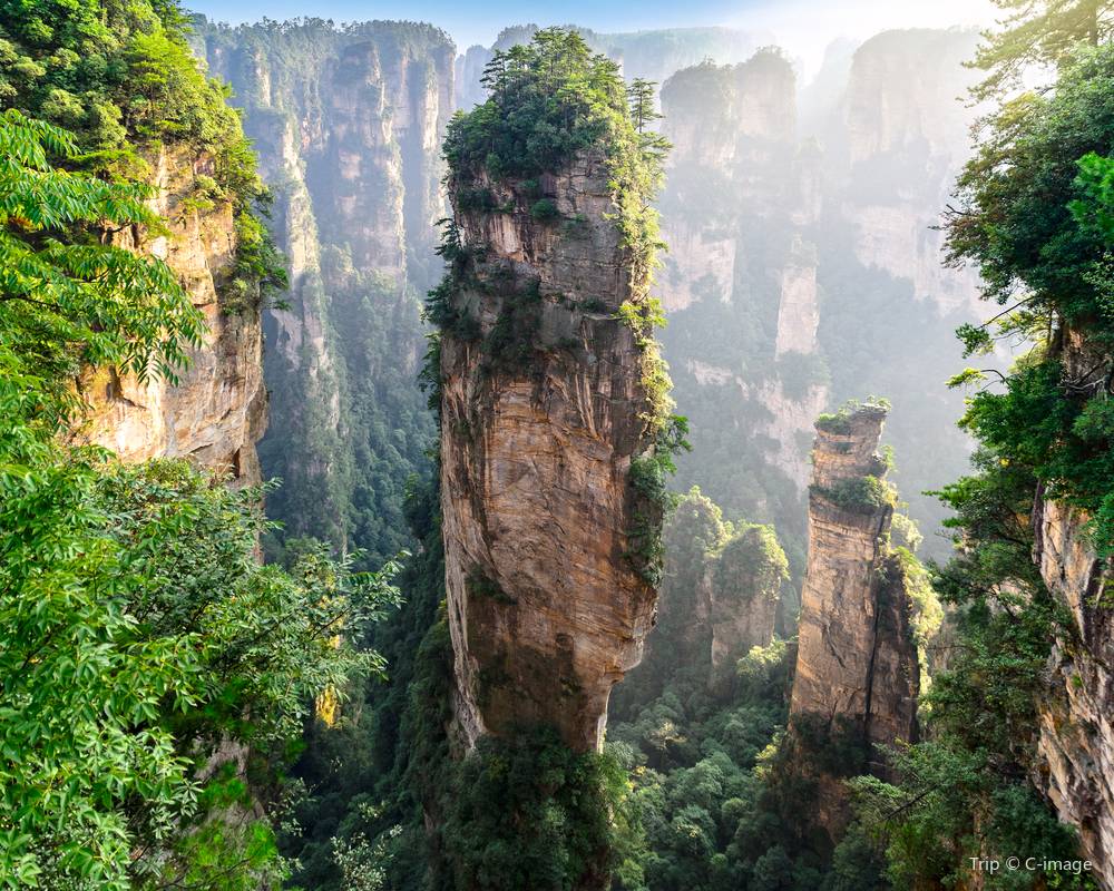 What to See & Do in Zhangjiajie National Forest Park
