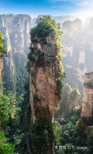 Zhangjiajie National Forest Park One-Day Tour [Optional Park Admission + VIP Access on Eco-friendly Bus]