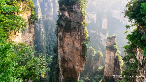 One-Day Zhangjiajie Private Tour of Zhangjiajie National Forest Park and Tianzi Mountain