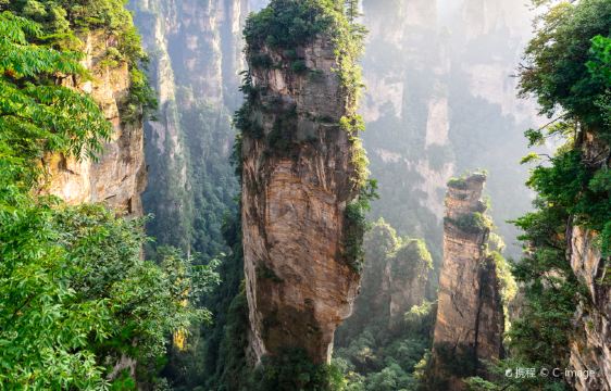 Zhangjiajie National Forest Park 1-day tour with VIP fast-track entrance and eco-bus access