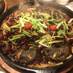 老板恋上鱼(雨滴广场店) User Photo