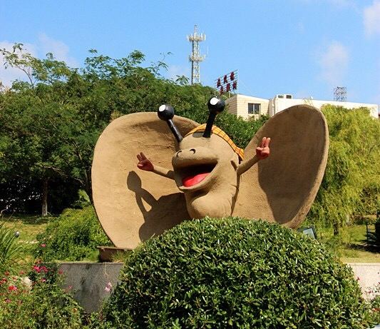 선자먼 낚시 항구
