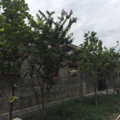 北京華爾道夫飯店·鳶尾宮1893（金魚衚衕店）張用戶圖片