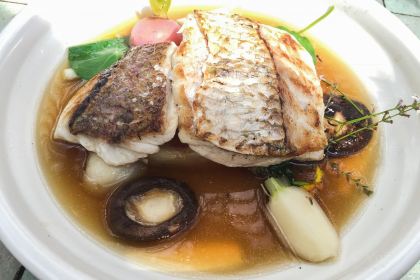 The Grounds of Alexandria