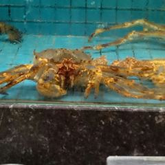 Shenhai Fishing Port User Photo