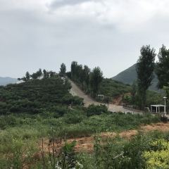 龙门山庄 User Photo