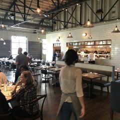 The Optimist張用戶圖片