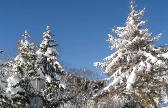 坎大哈住宿酒店