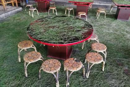 开发区金注彝家老土菜