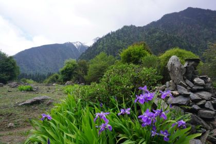 Ban QiuShan Western Restaurant