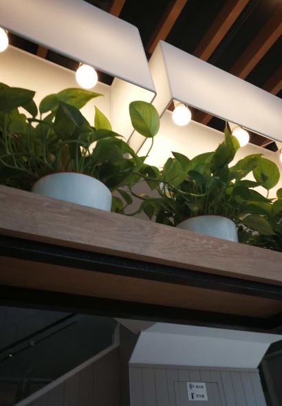 肯德基(新泰和店)