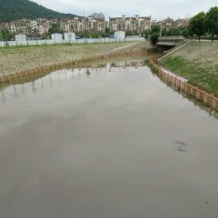多倫多海鮮自助餐廳(金鷹店)張用戶圖片