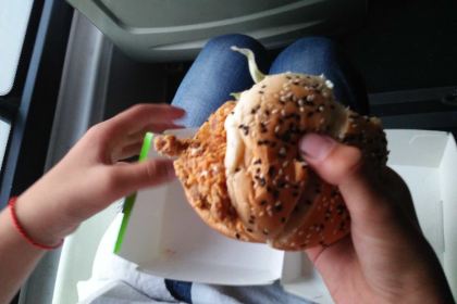 Dicos (guowencanting)