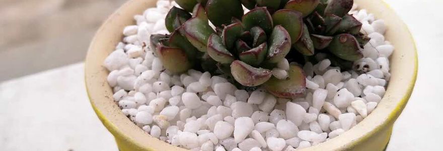 霸王牛肉(彭山店)