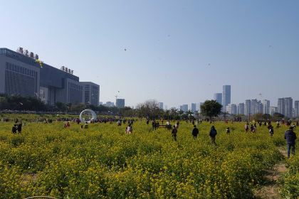 醉得意·家常菜(福湾店)