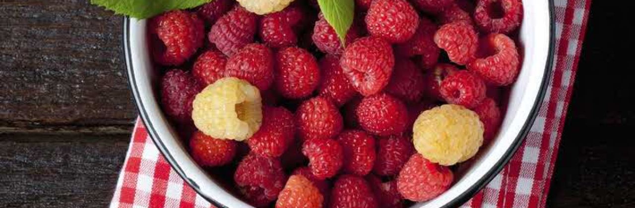 ZHENG XIN JI PAI SUI DOU DIAN