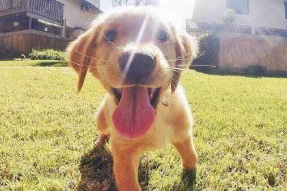 漢堡王(溧陽上河城店)