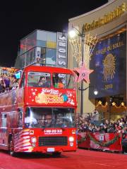 City Sightseeing Bus