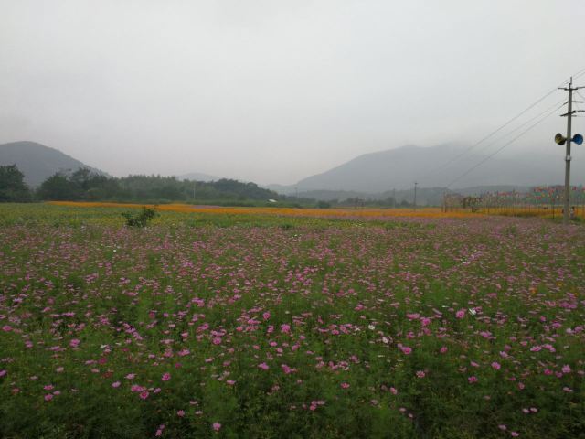 Taiji Wuse Valley