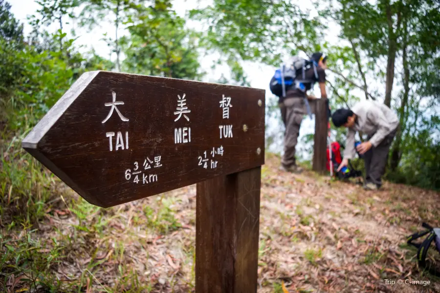 大尾篤村