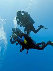 Meeru  Deep Diving