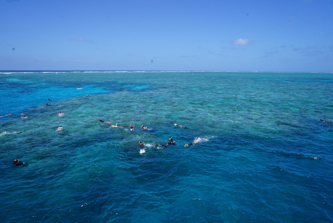 Great Barrier Reef グレート バリア リーフ 評判 案内 トリップドットコム Great Barrier Reef グレート バリア リーフ 評判 案内 トリップドットコム