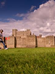 Castillo de Dover