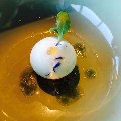 MOS Amsterdam User Photo