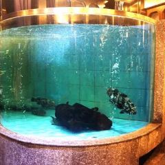 Zui Hui Huang Seafood Fang 여행 사진