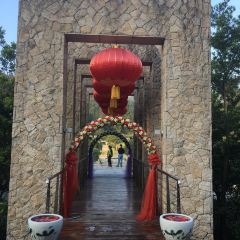 地派溫泉中餐廳張用戶圖片