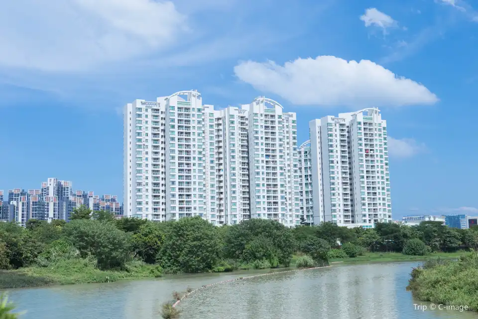 3_廣東花都湖國家濕地公園