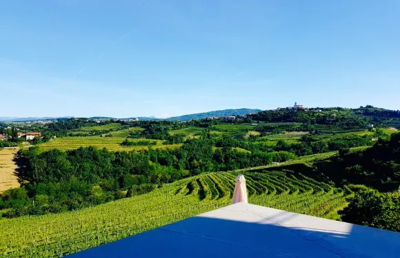 Restavracija Panorama