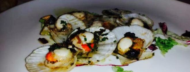 Menegaldo