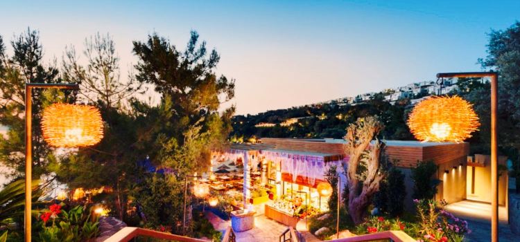 Bodrum BalIkcIsI