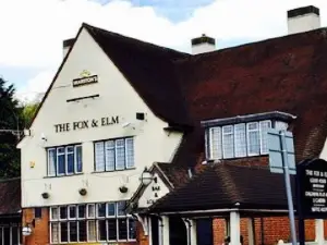 The Fox and Elm
