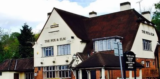 The Fox and Elm