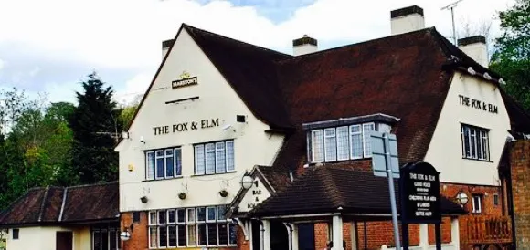 The Fox and Elm
